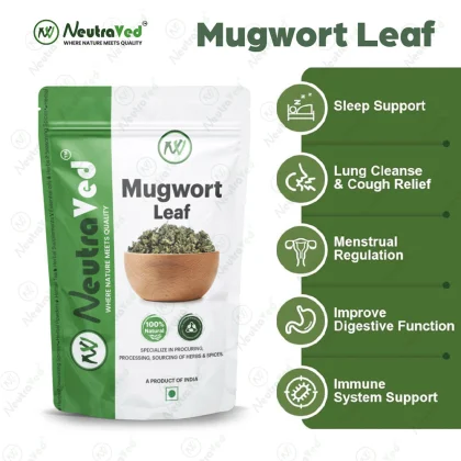 Mugwort Leaves image 3